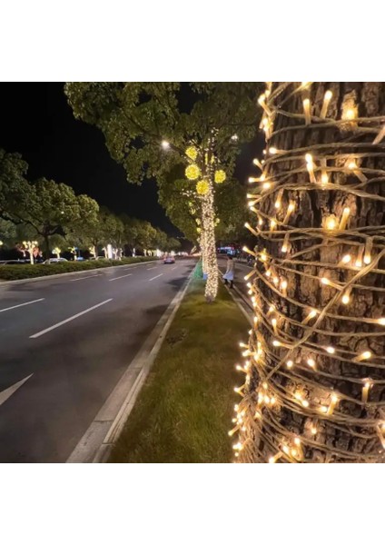 10 Metre Günışığı Dış Mekan 100 Ledli Ip LED Işık Su Geçirmez Dekoratif Bahçe Organizasyon Aydınlatma modelleri