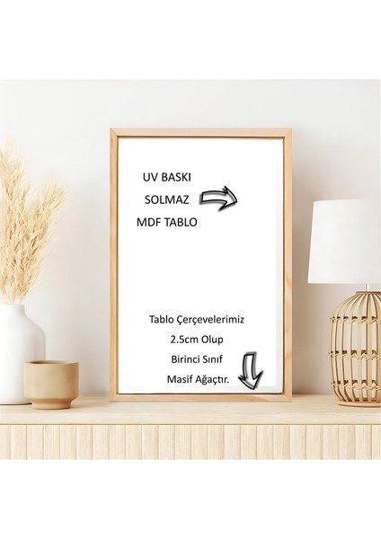 Harikabirev|pembe-Beyaz Bohem Model 01 Ahşap Çerçeveli Mdf Tablo|ahkrfz