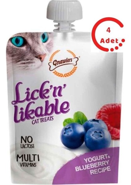Kedi Ödülü Yoğurtlu ve Yaban Mersinli Krema 100 gr x 4 Adet