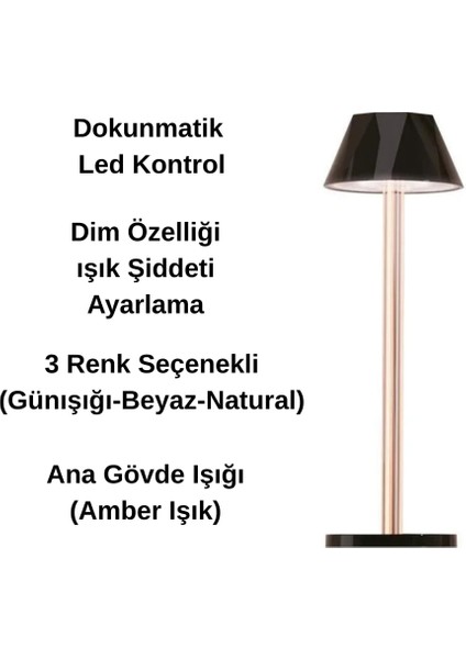 Dokunmatik Şarjlı Dekoratif Mellea LED Masa Lambası