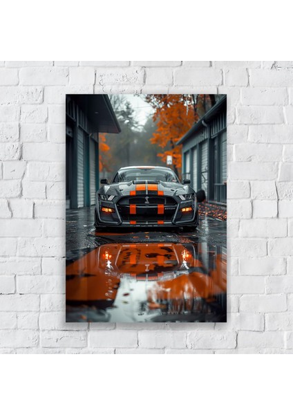 Anime Metal Poster Parlak Göz Alıcı Renkler - Yağmur Avcısı Karbon Gölgeler