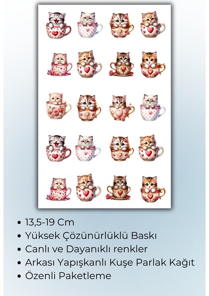 Sevimli Kedi Sticker Bullet Journal Sticker / Defter / Ajanda / Çıkartma Yaklaşık A5 Ebatında fiyatları