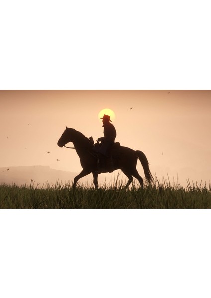 Red Dead Redemption 2 (PC Oyun) - Steam Hesap
