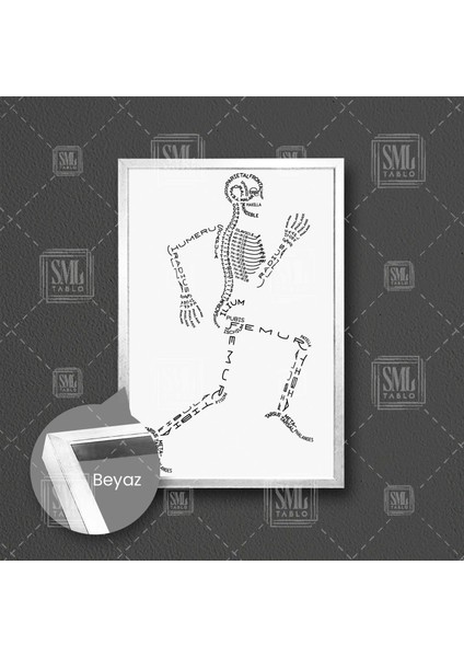 Iskelet Sistemi Tıp Eğitimi Kemik Isimleri Çerçeveli Dikey Kanvas Tablo