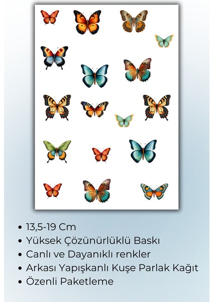 2'li Kelebek Temalı Sticker Seti Ajanda Planlayıcı Bullet Journal Için Uygundur fiyatları
