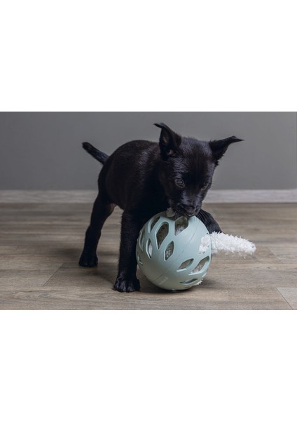 Yavru Köpek Oyuncağı, Peluş, Beyaz, 40x22x5cm Nrmsa modelleri