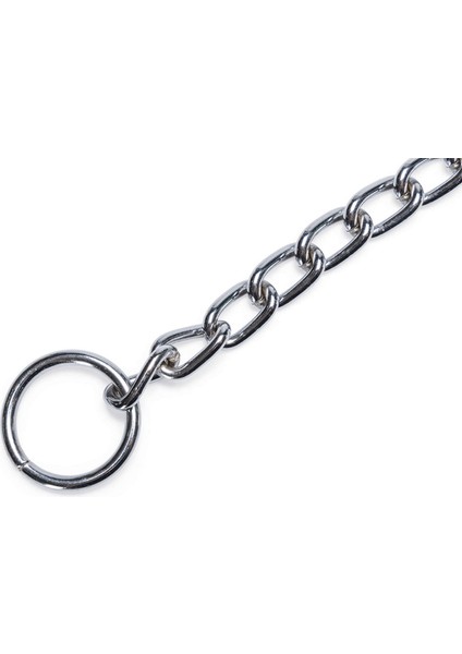 Köpek Boyun Tasması, Zincir, 70X1X0,30CM Nrmsa fırsatları
