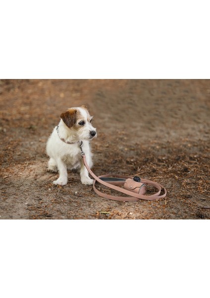 Köpek Dışkı Toplama Poşeti Taşıma Çantası, Pudra Pembe, 8X5X5CM Nrmsa modelleri