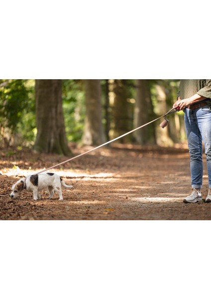 Köpek Dışkı Toplama Poşeti Taşıma Çantası, Pudra Pembe, 8X5X5CM Nrmsa fırsatları