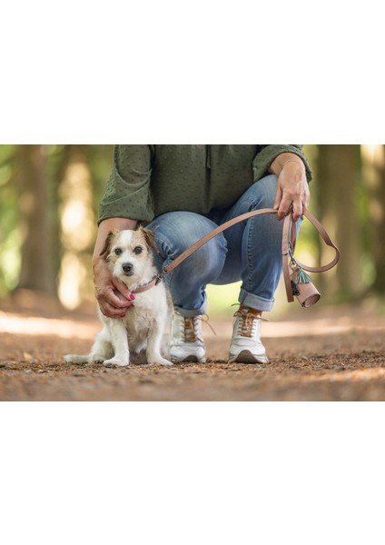 Köpek Dışkı Toplama Poşeti Taşıma Çantası, Pudra Pembe, 8X5X5CM Nrmsa indirimleri