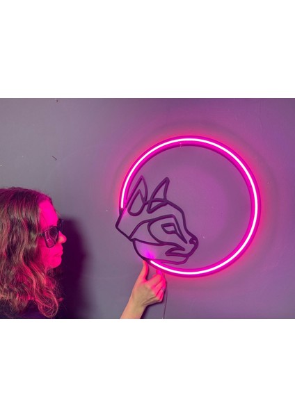 Kedi ve Ay Neon Metal Duvar Dekor Yazı Temalı Neon