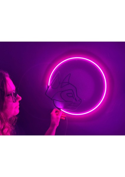 Kedi ve Ay Neon Metal Duvar Dekor Yazı Temalı Neon modelleri