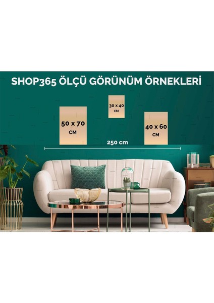 Yapraklar ve Şekiller Karışık Renkler Modern Tablo Çerçeveli P-000735