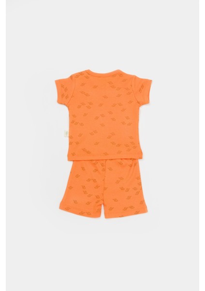 Bebek Pamuklu Mini Fil Desenli T-Shirt ve Şort Takım fiyatları