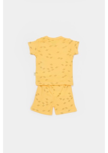Bebek Pamuklu Mini Fil Desenli T-Shirt ve Şort Takım fiyatları