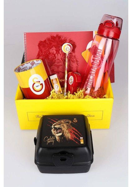Dekomus Gıft Box Özel Kutulu Galatasaray Beslenme Kabı ve 700 ml Trıtan Matara Ile Kırtasiye Seti