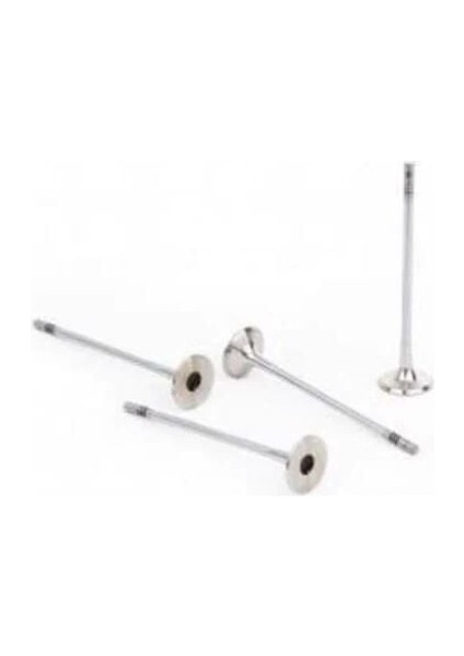 Supap Megane 1.9 Tdı 7mm F9Q