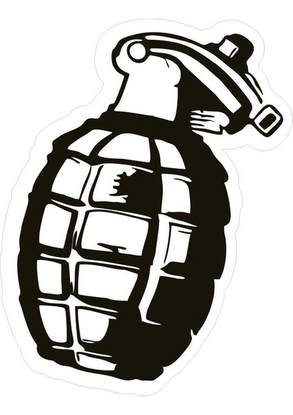 5 Adet 9X11 cm El Bombası Sticker Laptop Kask Araba Motor Sticker