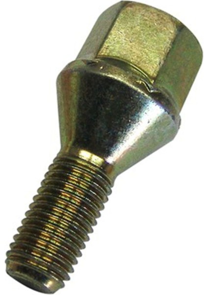 Bijon Civatası Megane Clio