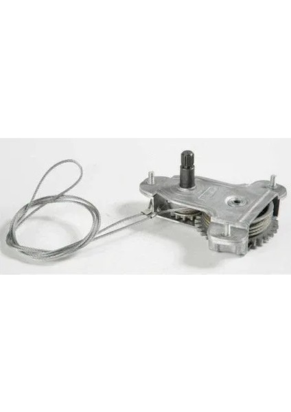 Cam Krikosu Ön (Bütün Cam) Doğan Kartal Şahin