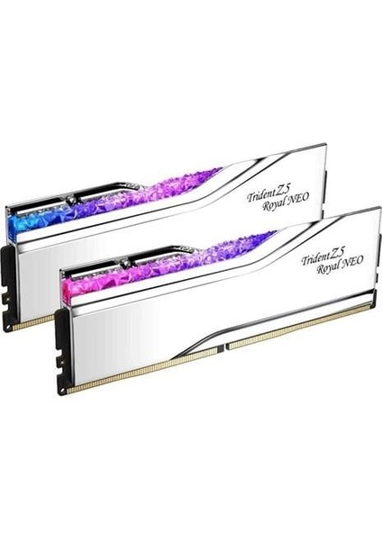 Gskıll 32GB (2x 16GB) Ddr5 8000MHZ CL38 Rgb Dual Kıt Pc Ram Trıdent Z5 Royal Neo Sılver F5-8000J3848H16GX2-TR5NS