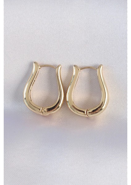 Pirinç Gold Renk Içi Boş Gül Küpe - TJ-BKP8976