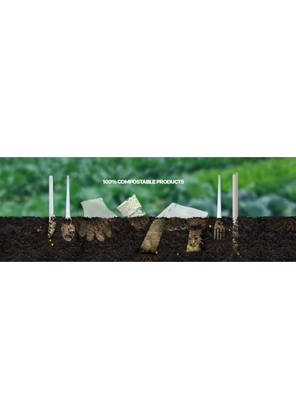 Bio Naturel (%100 Bitki Bazlı), Tekrar Kullanılabilir, Kompostlanabilir, Biyoçözünür (Doğada Çözünebilir) Pipet (10, Naturel)