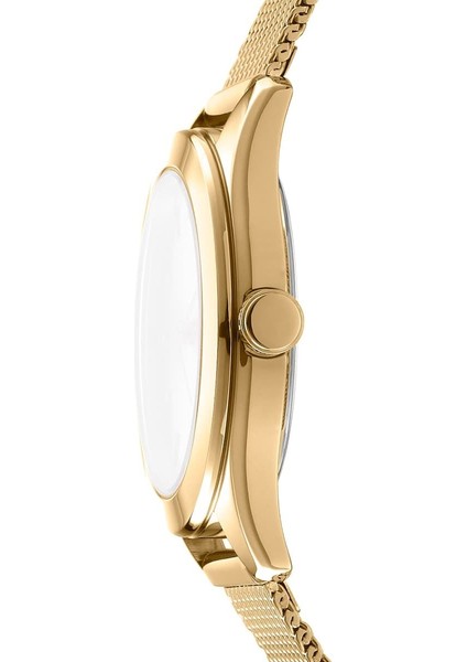 DK1L032M0025 Kadın Kol Saati fiyatları