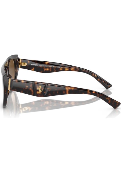 Ferrarı 0FH2005U 702/M256 Unısex Gözlük fırsatları