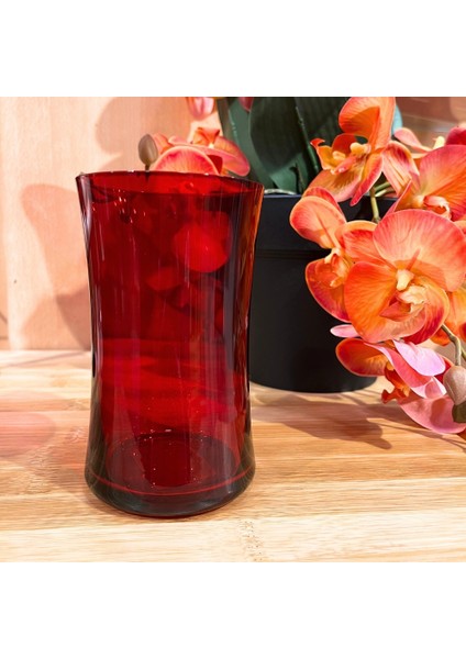 84619 C02-008-BUTEO 6lı Meşrubat Bardağı 420ML Kırmızı