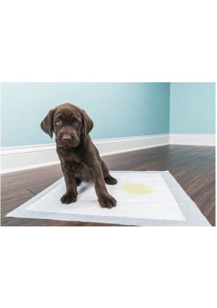 Köpek Tuvalet Çiş Eğitim Pedi 60X90 cm ( 10 Adet )