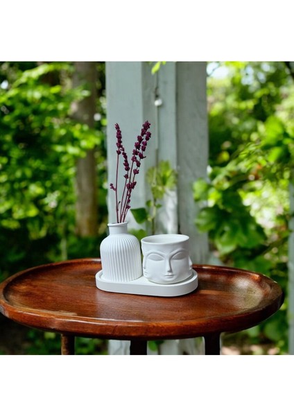 3 Lü Set Dekoratif Vazo Organizer Tabak Adler Binbir Surat Havelka Saksı Şık Saksı