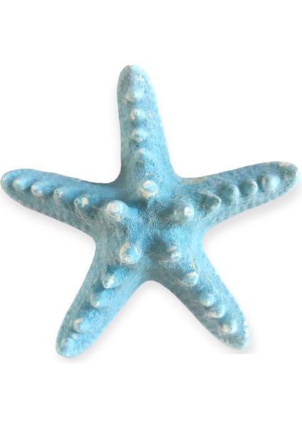 Gerçek Deniz Yıldızı 10-11 cm