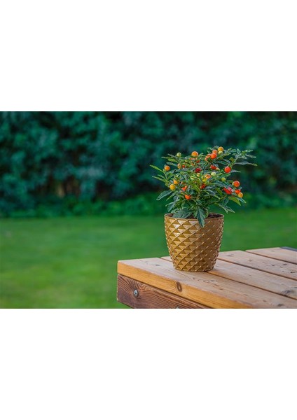 So-Kap4 Kapadokya Dekoratif Plastik Saksı 5 Litre No 4 modelleri