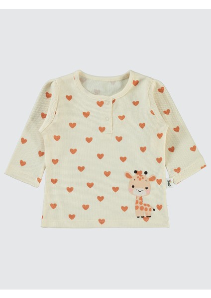 Kız Bebek Sweastshirt 6-18 Ay Fil Dişi