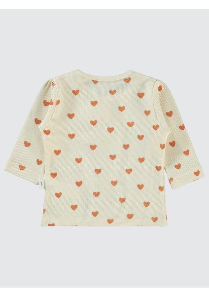 Kız Bebek Sweastshirt 6-18 Ay Fil Dişi fiyatları