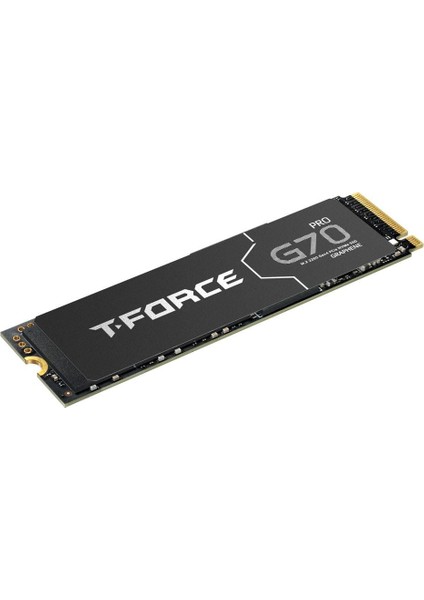 T-Force G70 Pro 2tb 7400/5500MB/S Nvme Pcıe M.2 T(TM8FFH002T0C129)