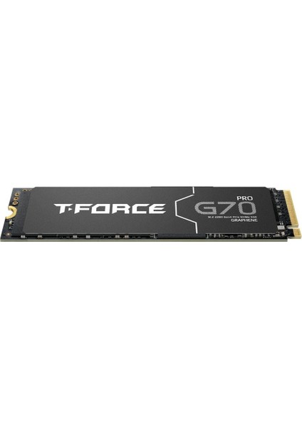 T-Force G70 Pro 1tb 7400/5500MB/S M.2 (TM8FFH001T0C129)