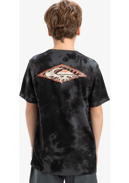 Desenli Siyah Erkek Çocuk T-Shirt EQBZT04840-FROG Rıtual Ss Tee Youth indirimleri