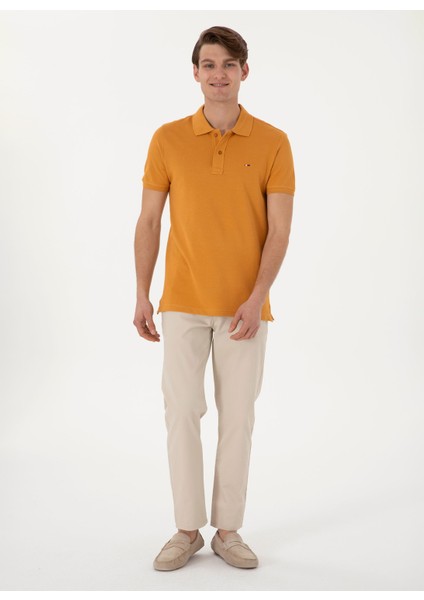 Normal Bel Normal Paça Gri Erkek Chino Pantolon Kenly