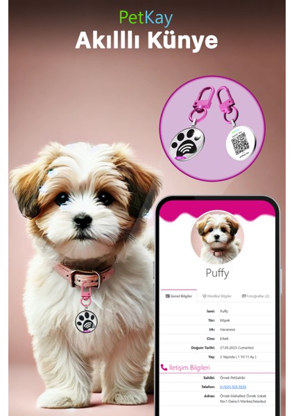 Köpekler Için Akıllı Künye, Nfc Dijital Isimlik Ve Tasma Künyesi Qr Kod Künye Paslanmaz Çelik Turuncu isimli Köpek Tasması, Köpek isimlik