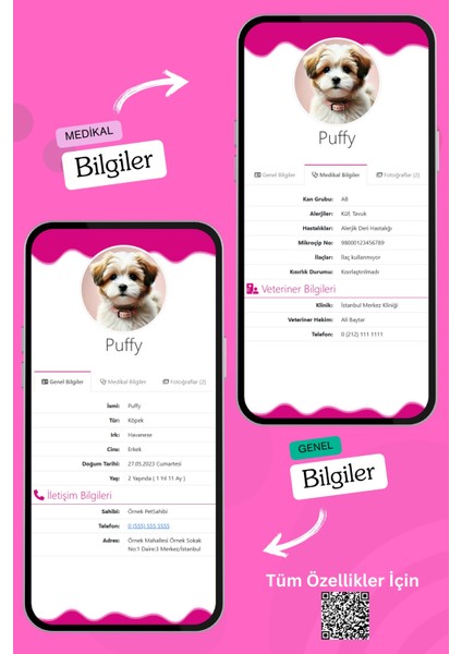 Köpekler Için Akıllı Künye, Nfc Dijital Isimlik Ve Tasma Künyesi Qr Kod Künye Paslanmaz Çelik Turuncu isimli Köpek Tasması, Köpek isimlik fırsatları