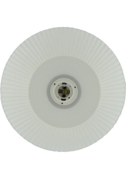 Chronex Modern Abajur