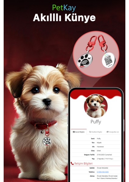 Köpekler Için Akıllı Künye, Nfc Dijital Isimlik Ve Tasma Künyesi Qr Kod Künye Paslanmaz Çelik Kırmızı isimli Köpek Tasması, Köpek isimlik