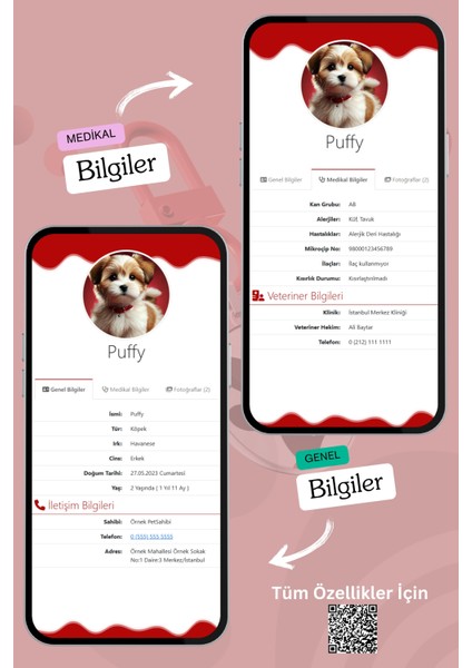 Köpekler Için Akıllı Künye, Nfc Dijital Isimlik Ve Tasma Künyesi Qr Kod Künye Paslanmaz Çelik Kırmızı isimli Köpek Tasması, Köpek isimlik fırsatları