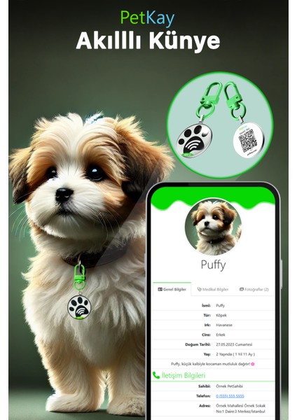 Köpekler Için Akıllı Künye, Nfc Dijital Isimlik Ve Tasma Künyesi Qr Kod Künye Paslanmaz Çelik Yeşil isimli Köpek Tasması, Köpek isimlik