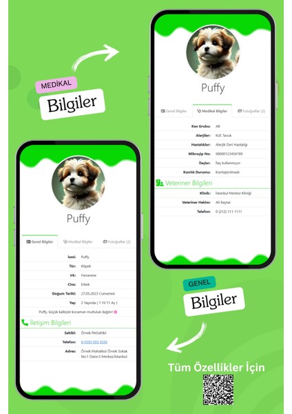 Köpekler Için Akıllı Künye, Nfc Dijital Isimlik Ve Tasma Künyesi Qr Kod Künye Paslanmaz Çelik Yeşil isimli Köpek Tasması, Köpek isimlik fırsatları