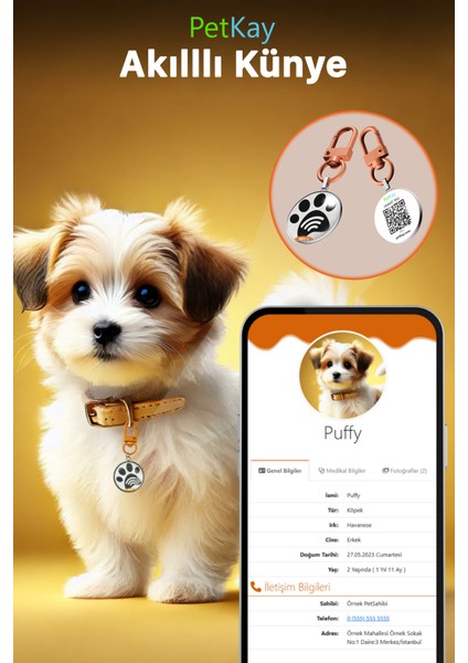 Köpekler Için Akıllı Künye, Nfc Dijital Isimlik Ve Tasma Künyesi Qr Kod Künye Paslanmaz Çelik Turuncu isimli Köpek Tasması, Köpek isimlik