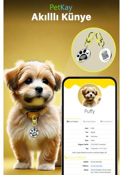 Köpekler Için Akıllı Künye, Nfc Dijital Isimlik Ve Tasma Künyesi Qr Kod Künye Paslanmaz Çelik sarı isimli Köpek Tasması, Köpek isimlik