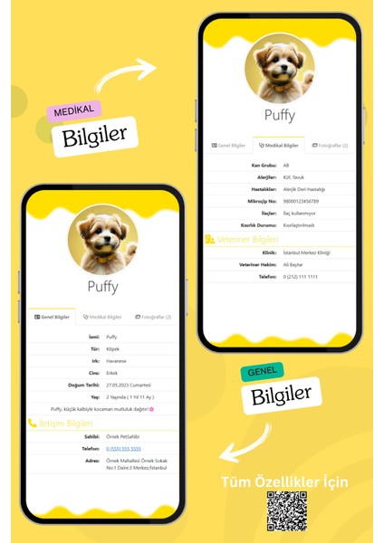 Köpekler Için Akıllı Künye, Nfc Dijital Isimlik Ve Tasma Künyesi Qr Kod Künye Paslanmaz Çelik sarı isimli Köpek Tasması, Köpek isimlik